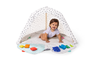 The Play Gym
