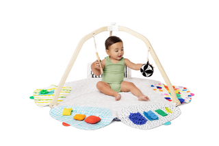 The Play Gym