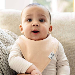 Copper Pearl Bandana Bibs — Ryder (Set of 4)