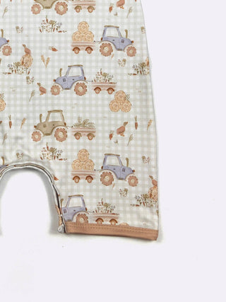 Gingham Hayride 0/6mo