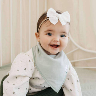 Copper Pearl Bandana Bibs — Rex (Set of 4)