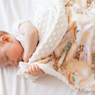 Minky Baby Blanket Noah's Ark
