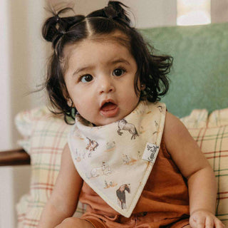 Baby Bandana Bibs - Cheyenne