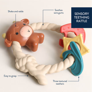 Itzy Ritzy Ritzy Rattle Silicone Teether Rattle